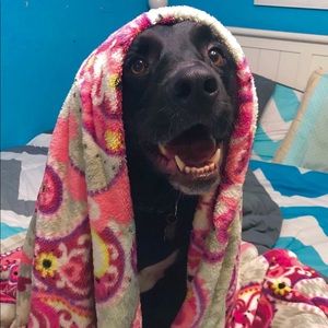 Meet your Posher, Carolyn